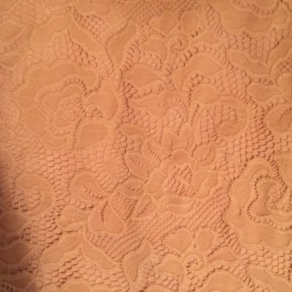 Charlotte Russe Lace Floral Dress - Picture 5 of 6